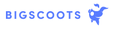 Big Scoots 2024 Logo